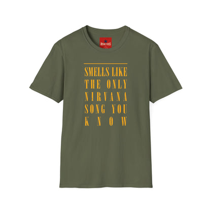 Smells Like Teen Spirit - Nirvana - Unisex Softstyle T-Shirt