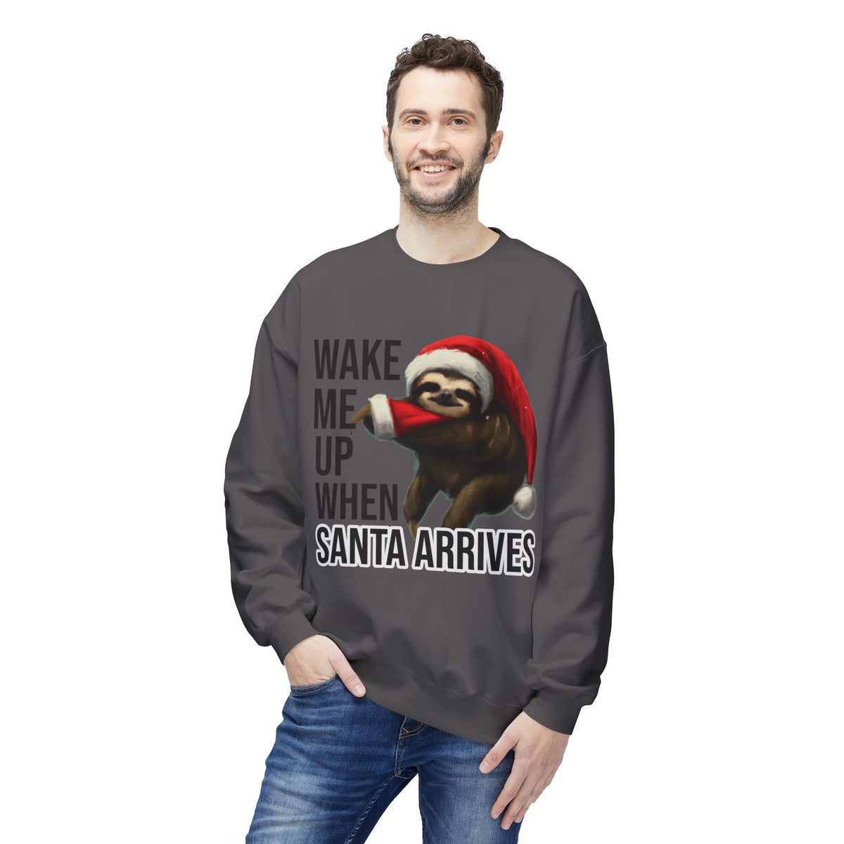 Sloth Santa Sweatshirt — "Wake Me Up When Santa Arrives" Holiday Crewneck