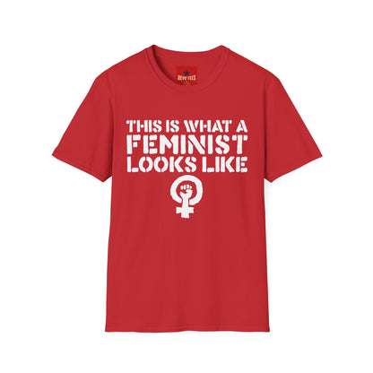 Feminism - Unisex Softstyle T-Shirt