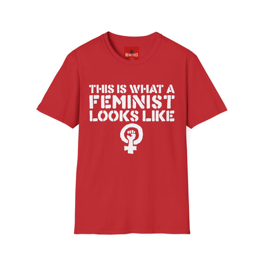 Feminism - Unisex Softstyle T-Shirt