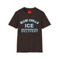 Miami Chills Ice Graphic T-Shirt — Retro Beach Vibes, Refrigerated Delivery Slogan