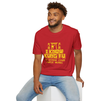 I Know Kung Fu T-Shirt — Retro Martial Arts Graphic Tee