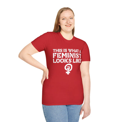 Feminism - Unisex Softstyle T-Shirt