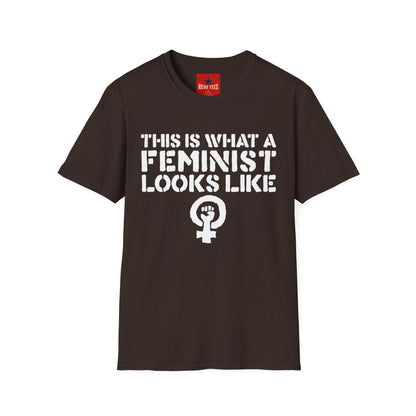 Feminism - Unisex Softstyle T-Shirt