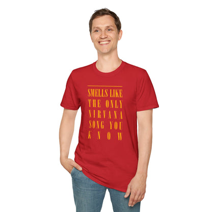 Smells Like Teen Spirit - Nirvana - Unisex Softstyle T-Shirt