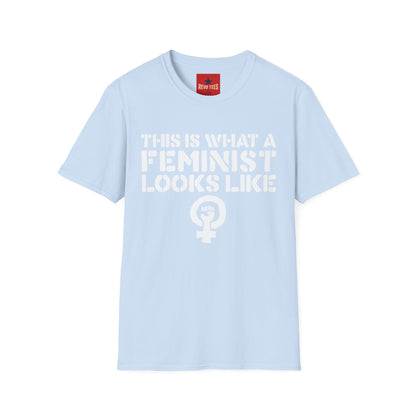 Feminism - Unisex Softstyle T-Shirt