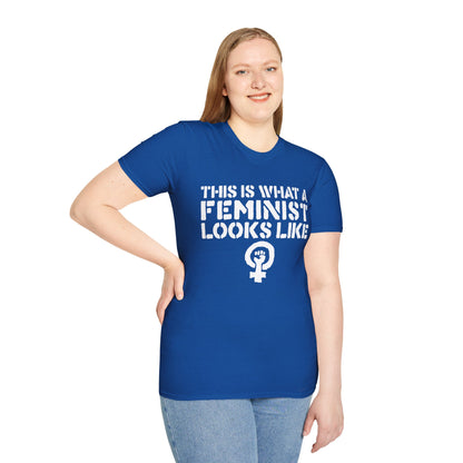 Feminism - Unisex Softstyle T-Shirt