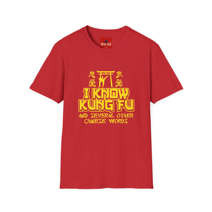 I Know Kung Fu T-Shirt — Retro Martial Arts Graphic Tee