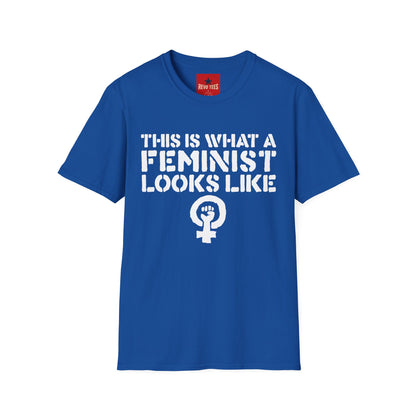 Feminism - Unisex Softstyle T-Shirt