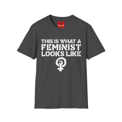 Feminism - Unisex Softstyle T-Shirt
