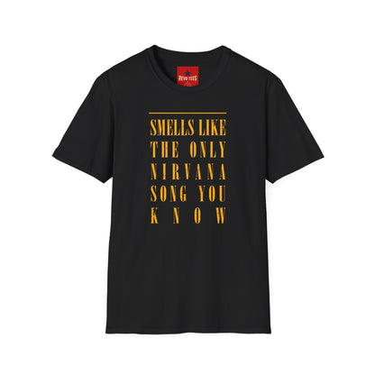 Smells Like Teen Spirit - Nirvana - Unisex Softstyle T-Shirt
