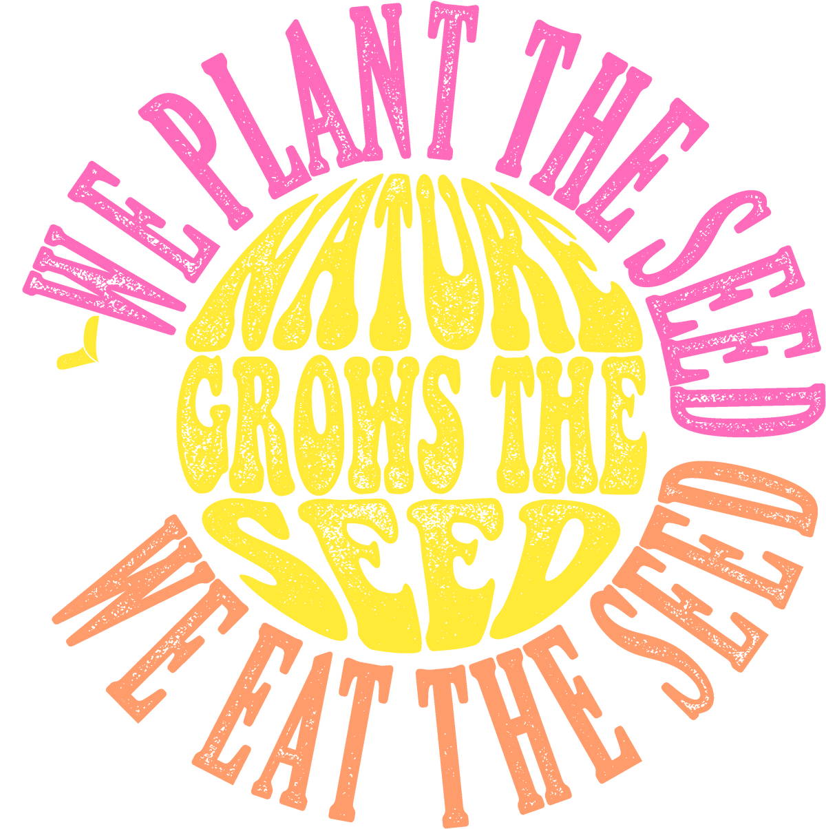 DV-Music-We-Plant-The-Seed