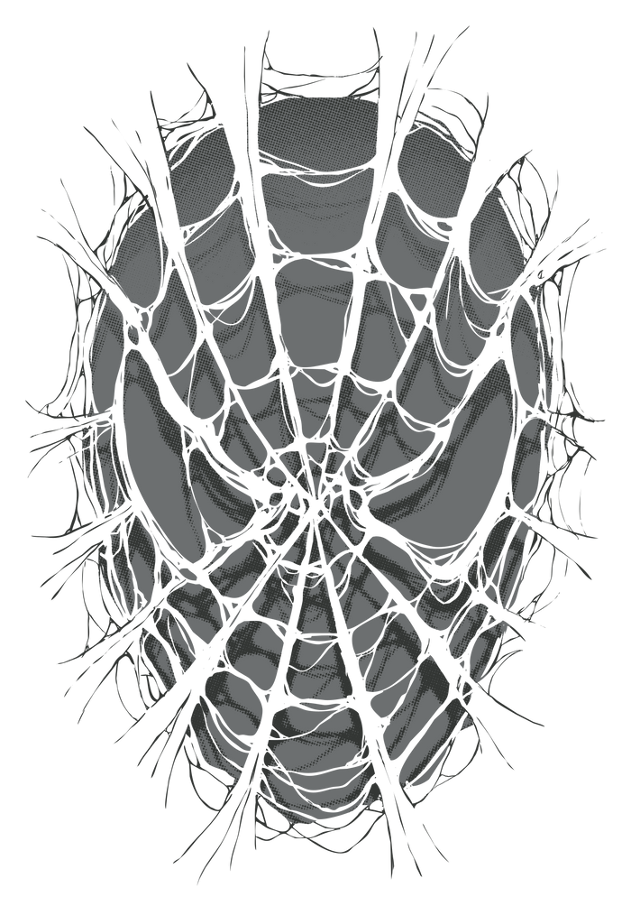 DV-Movies-Spider-Man-Web